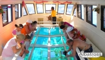 Łódź ze szklanym dnem Sharm El Sheikh