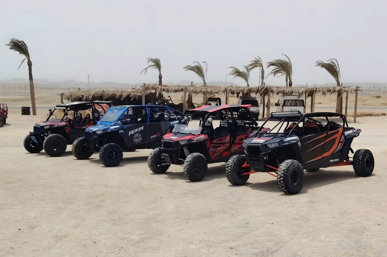 buggy safari in Marsa Alam what’s included transfer camel ride Bedouin tea insurance and guide