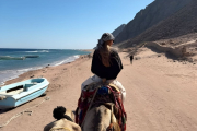 Camel and Horse Riding Tour in Marsa Alam