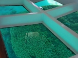 Łódź ze szklanym dnem Sharm El Sheikh